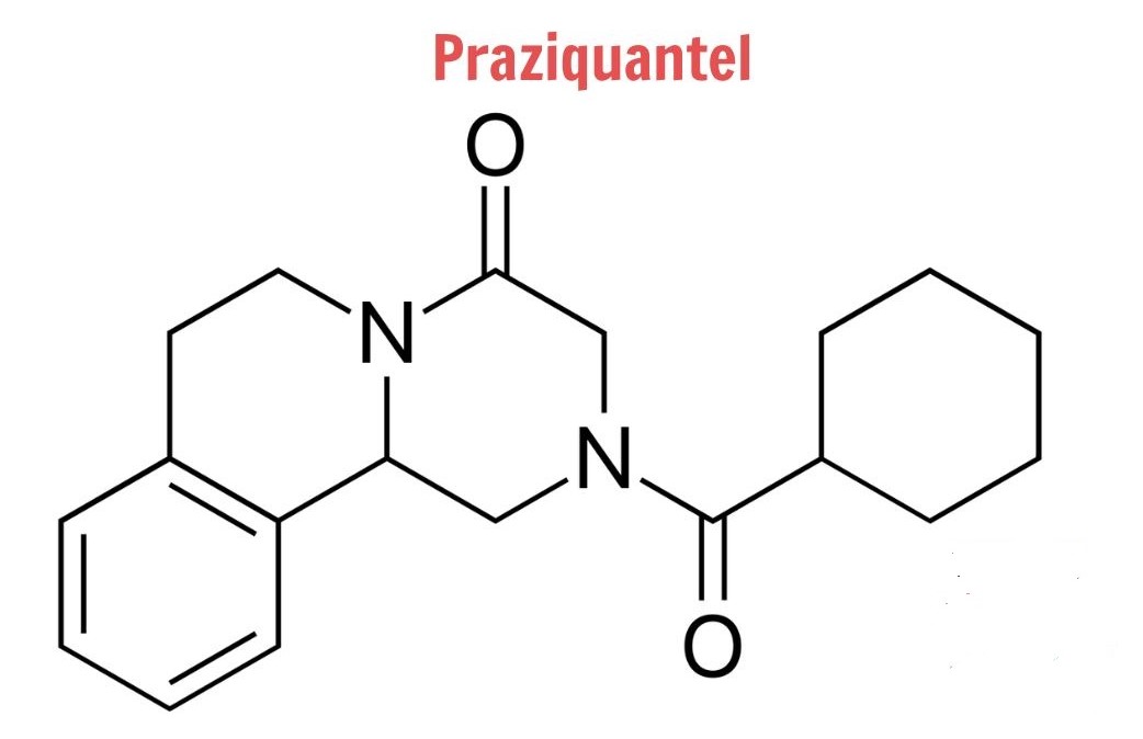 PRAZIQUANTEL: GIẢI PHÁP HIỆU QUẢ ĐỐI VỚI NỘI VÀ NGOẠI KÍ SINH TRÙNG TRÊN THUỶ SẢN