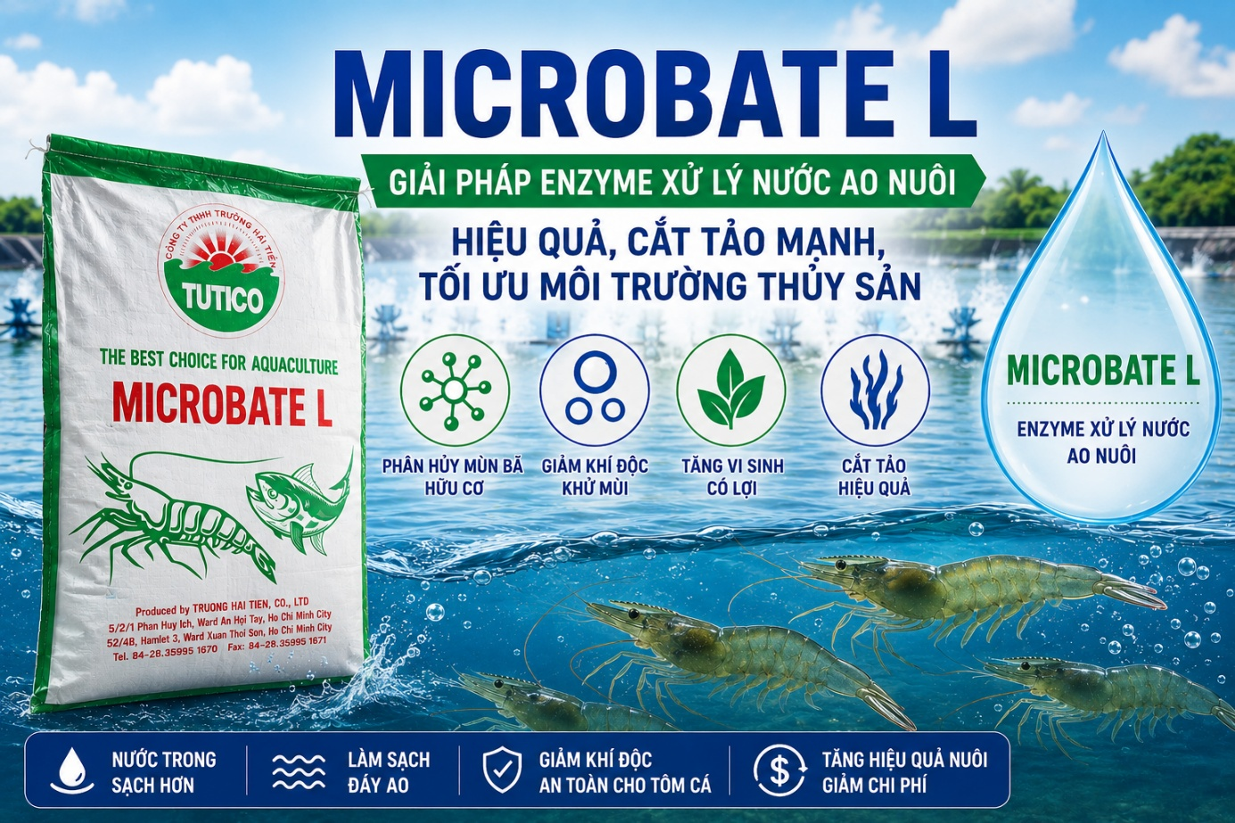 MICROBATE L – Giải pháp enzyme xử lý nước ao nuôi hiệu quả, cắt tảo mạnh, tối ưu môi trường thủy sản
